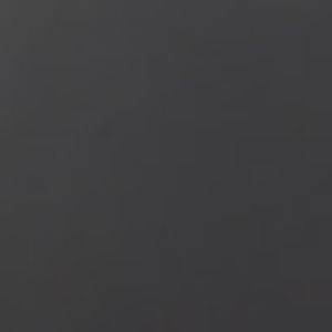 Meet your Posher, Dino